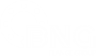 BNG Flange Group
